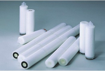 PES Membrane Cartridge Filter (TCS Type)