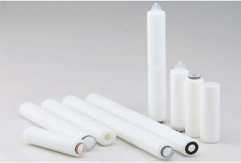 Hydrophilic PTFE Membrane Cartridge Filter (TCFH Type)