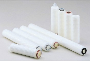 PTFE Membrane Cartridge Filter (TCF Type)