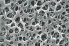 Cellulose Acetate Type Membrane Filter Cellulose Acetate Type Membrane Filter