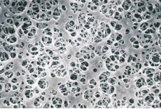 Coated Cellulose Acetate Membrane Filter (Coated Type) Coated Cellulose Acetate Membrane Filter (Coated Type)