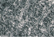 Hydrophilic PTFE Membrane Filter (PTFE Type) Hydrophilic PTFE Membrane Filter (PTFE Type)