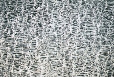 Hydrophobic PTFE Type Membrane Filter (PTFE Type) Hydrophobic PTFE Type Membrane Filter (PTFE Type)