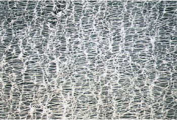 Hydrophobic PTFE Type Membrane Filter (PTFE Type)